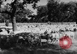 Standbild Burgen Spanien, 1956, aus Sekunde 23 historischem Filmmaterial Videoclip 65675048550