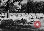 Standbild Burgen Spanien, 1956, aus Sekunde 24 historischem Filmmaterial Videoclip 65675048550
