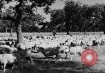 Standbild Burgen Spanien, 1956, aus Sekunde 25 historischem Filmmaterial Videoclip 65675048550