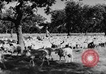 Standbild Burgen Spanien, 1956, aus Sekunde 26 historischem Filmmaterial Videoclip 65675048550