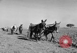 Standbild Burgen Spanien, 1956, aus Sekunde 27 historischem Filmmaterial Videoclip 65675048550