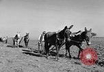 Standbild Burgen Spanien, 1956, aus Sekunde 28 historischem Filmmaterial Videoclip 65675048550