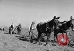 Standbild Burgen Spanien, 1956, aus Sekunde 29 historischem Filmmaterial Videoclip 65675048550
