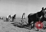 Standbild Burgen Spanien, 1956, aus Sekunde 30 historischem Filmmaterial Videoclip 65675048550