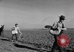 Standbild Burgen Spanien, 1956, aus Sekunde 34 historischem Filmmaterial Videoclip 65675048550
