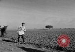 Standbild Burgen Spanien, 1956, aus Sekunde 35 historischem Filmmaterial Videoclip 65675048550