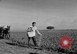 Standbild Burgen Spanien, 1956, aus Sekunde 36 historischem Filmmaterial Videoclip 65675048550