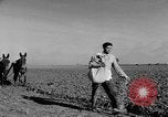 Standbild Burgen Spanien, 1956, aus Sekunde 37 historischem Filmmaterial Videoclip 65675048550