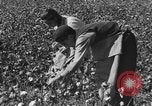 Immagine di Chiesa Spagna, 1956, secondo 39 filmato di repertorio 65675048553