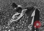 Immagine di Chiesa Spagna, 1956, secondo 40 filmato di repertorio 65675048553