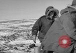Immagine di Esercito degli Stati Uniti Corpo degli Ingegneri La Groenlandia, 1957, secondo 48 filmato di repertorio 65675048554