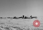Immagine di Eskimos La Groenlandia, 1957, secondo 8 filmato di repertorio 65675048557