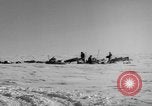 Immagine di Eskimos La Groenlandia, 1957, secondo 9 filmato di repertorio 65675048557
