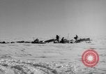 Immagine di Eskimos La Groenlandia, 1957, secondo 10 filmato di repertorio 65675048557