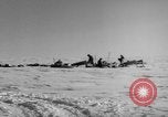 Immagine di Eskimos La Groenlandia, 1957, secondo 12 filmato di repertorio 65675048557