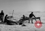 Immagine di Eskimos La Groenlandia, 1957, secondo 13 filmato di repertorio 65675048557