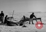 Immagine di Eskimos La Groenlandia, 1957, secondo 14 filmato di repertorio 65675048557