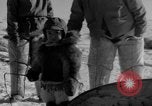 Immagine di Eskimos La Groenlandia, 1957, secondo 26 filmato di repertorio 65675048557