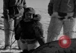 Immagine di Eskimos La Groenlandia, 1957, secondo 27 filmato di repertorio 65675048557