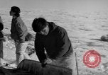 Immagine di Eskimos La Groenlandia, 1957, secondo 36 filmato di repertorio 65675048557