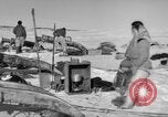Immagine di Eskimos La Groenlandia, 1957, secondo 50 filmato di repertorio 65675048557