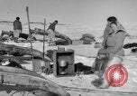 Immagine di Eskimos La Groenlandia, 1957, secondo 51 filmato di repertorio 65675048557