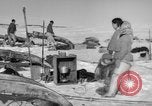 Immagine di Eskimos La Groenlandia, 1957, secondo 53 filmato di repertorio 65675048557