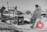 Immagine di Eskimos La Groenlandia, 1957, secondo 54 filmato di repertorio 65675048557