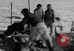 Immagine di Eskimos La Groenlandia, 1957, secondo 58 filmato di repertorio 65675048557