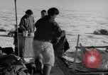 Immagine di Eskimos La Groenlandia, 1957, secondo 59 filmato di repertorio 65675048557
