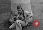 Image boa constrictor de bébé Panama, 1953, de la seconde 7 séquences d'archives historiques vidéo 65675048571