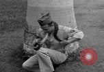 Image boa constrictor de bébé Panama, 1953, de la seconde 8 séquences d'archives historiques vidéo 65675048571