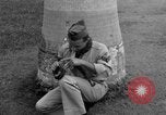 Image boa constrictor de bébé Panama, 1953, de la seconde 10 séquences d'archives historiques vidéo 65675048571
