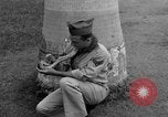 Image boa constrictor de bébé Panama, 1953, de la seconde 11 séquences d'archives historiques vidéo 65675048571