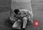 Image boa constrictor de bébé Panama, 1953, de la seconde 15 séquences d'archives historiques vidéo 65675048571