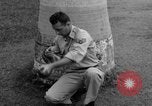 Image boa constrictor de bébé Panama, 1953, de la seconde 20 séquences d'archives historiques vidéo 65675048571