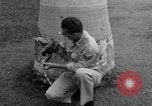 Image boa constrictor de bébé Panama, 1953, de la seconde 23 séquences d'archives historiques vidéo 65675048571