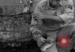 Image boa constrictor de bébé Panama, 1953, de la seconde 27 séquences d'archives historiques vidéo 65675048571