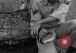 Image boa constrictor de bébé Panama, 1953, de la seconde 28 séquences d'archives historiques vidéo 65675048571