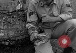 Image boa constrictor de bébé Panama, 1953, de la seconde 34 séquences d'archives historiques vidéo 65675048571