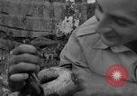 Image boa constrictor de bébé Panama, 1953, de la seconde 43 séquences d'archives historiques vidéo 65675048571