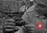 Image boa constrictor de bébé Panama, 1953, de la seconde 50 séquences d'archives historiques vidéo 65675048571