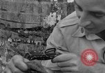 Image boa constrictor de bébé Panama, 1953, de la seconde 52 séquences d'archives historiques vidéo 65675048571