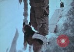 Immagine di Esercito degli Stati Uniti ingegneri La Groenlandia, 1961, secondo 60 filmato di repertorio 65675048579
