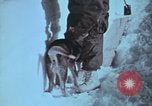 Immagine di Esercito degli Stati Uniti ingegneri La Groenlandia, 1961, secondo 61 filmato di repertorio 65675048579