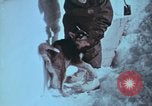 Immagine di Esercito degli Stati Uniti ingegneri La Groenlandia, 1961, secondo 62 filmato di repertorio 65675048579