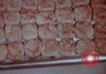 Standbild Camp Jahrhundert Grönland, 1961, aus Sekunde 60 historischem Filmmaterial Videoclip 65675048583