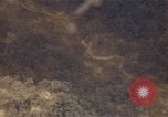 Image of Ho Chin Minh Trail Vietnam, 1968, second 13 stock footage video 65675048588