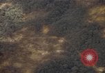 Image of Ho Chin Minh Trail Vietnam, 1968, second 56 stock footage video 65675048588