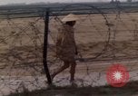 Image of United states C 130 E plane Vietnam, 1968, second 50 stock footage video 65675048589